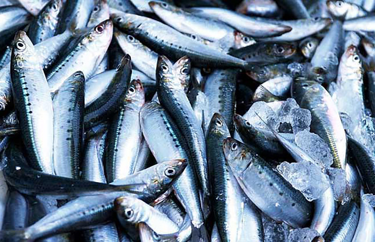 78241d9e2b2e3415380cf41d50c033cd