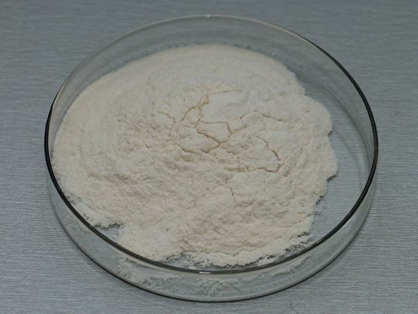 纤维素酶 cellulase