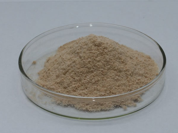 坚果酶（干果炒货酥脆剂）