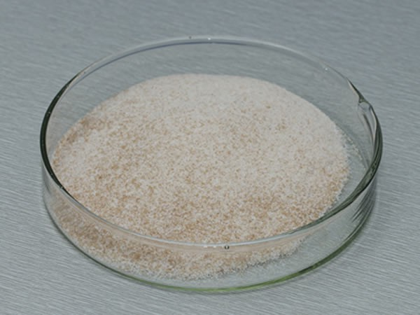 风味酶（氨肽酶，复合风味蛋白酶）Flavourzyme