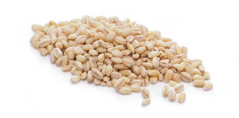 酶解小麦蛋白制备蛋白肽原料