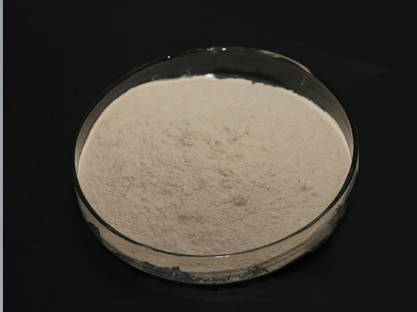 动物蛋白水解酶