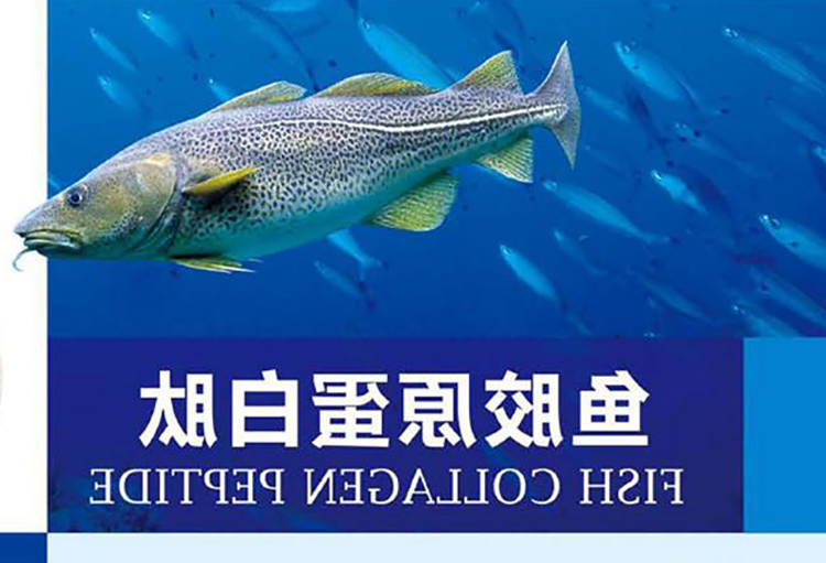 a932adaf220955c68659a77e3cbc0fdf