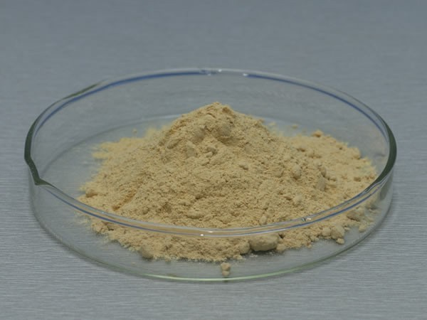 葡萄糖氧化酶 Glucose Oxidase