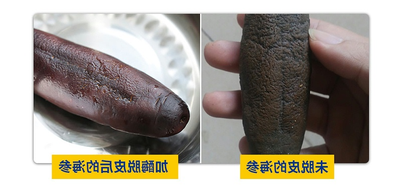 O1CN019Npkcy1vgYuVXJ3iz_!!702136202_r1_c1