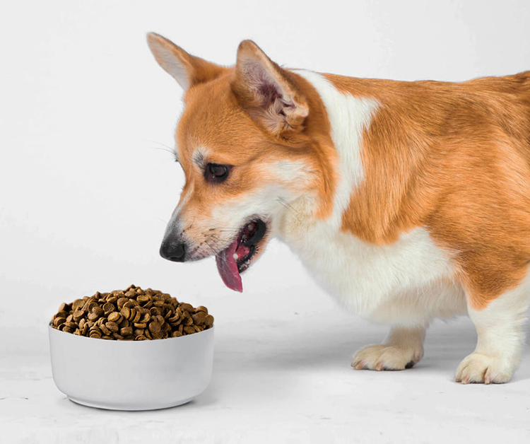 6cf59edead96d62bd001200f41aa93ef