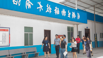 广西城区人大代表一行莅临南宁杏彩体育网
酶制剂参观指导