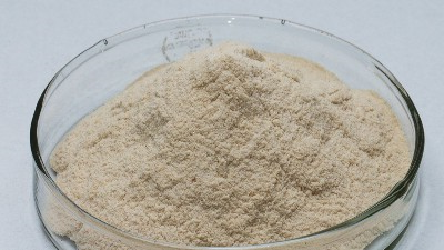 中性蛋白酶的作用和用途