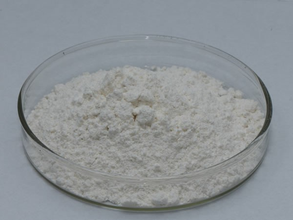 谷氨酰胺转氨酶 肉砖粘合 Transglutaminase