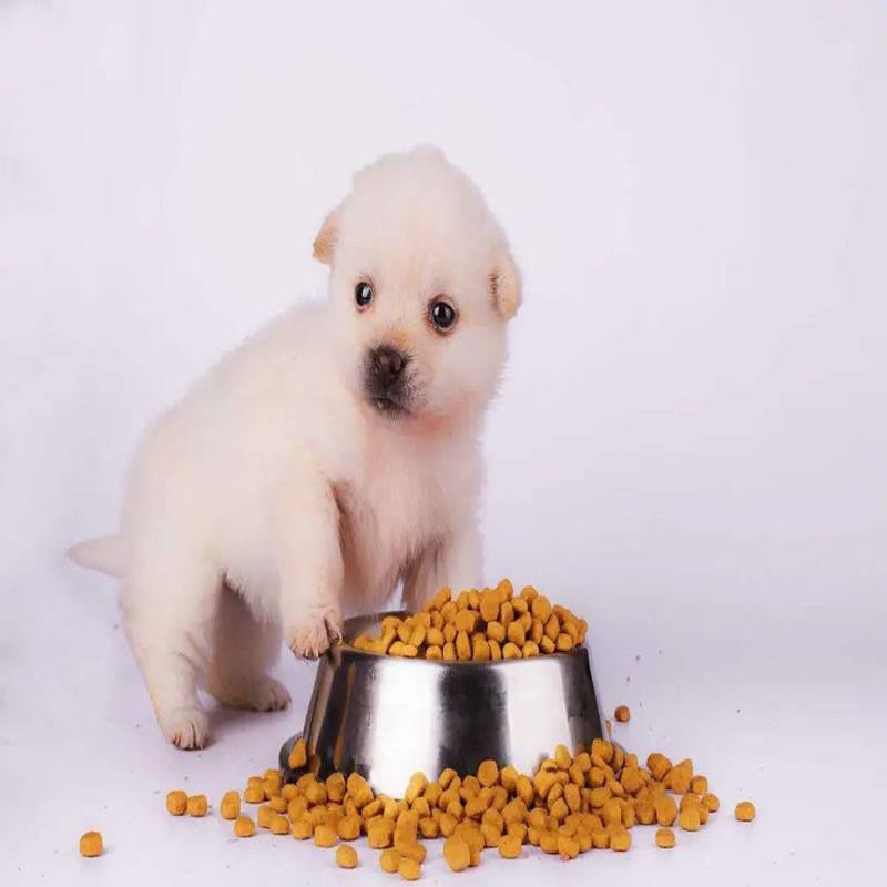 宠物诱食剂_r1_c1