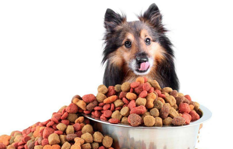 酶解鸡肝粉制备宠物诱食剂