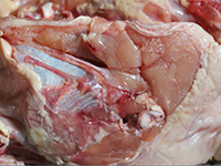 调味品生产—酶制剂解决方案