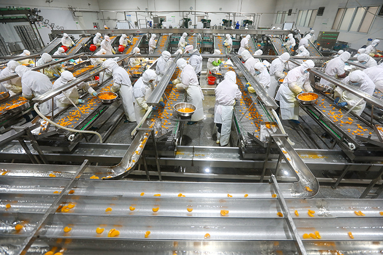 cba59cbf8d041cb62ac19e1e838a4224