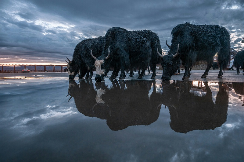 f7a2368352c29900be45a801b87ca1db