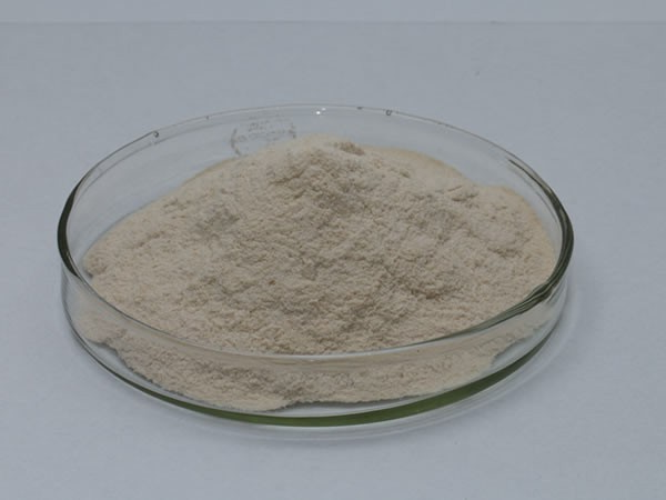 1398中性蛋白酶(枯草芽孢杆菌蛋白酶,沙雷肽酶)Neutral protease