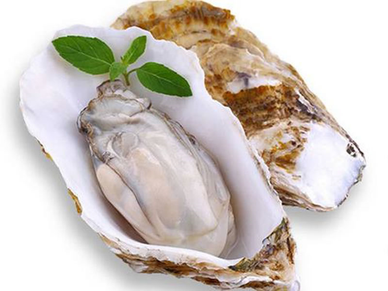 深海牡蛎