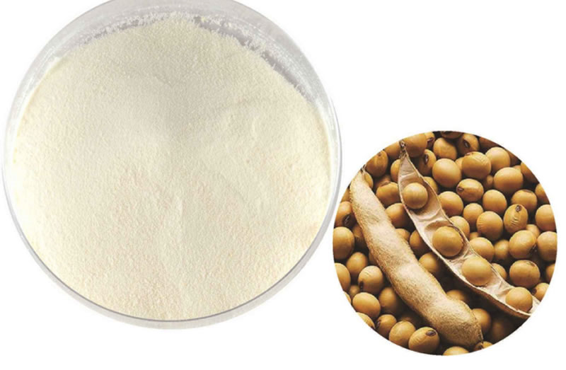 酶解大豆蛋白制备大豆蛋白肽