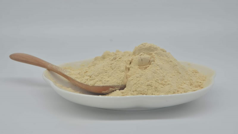 酶解豌豆蛋白粉生产植物蛋白饮料