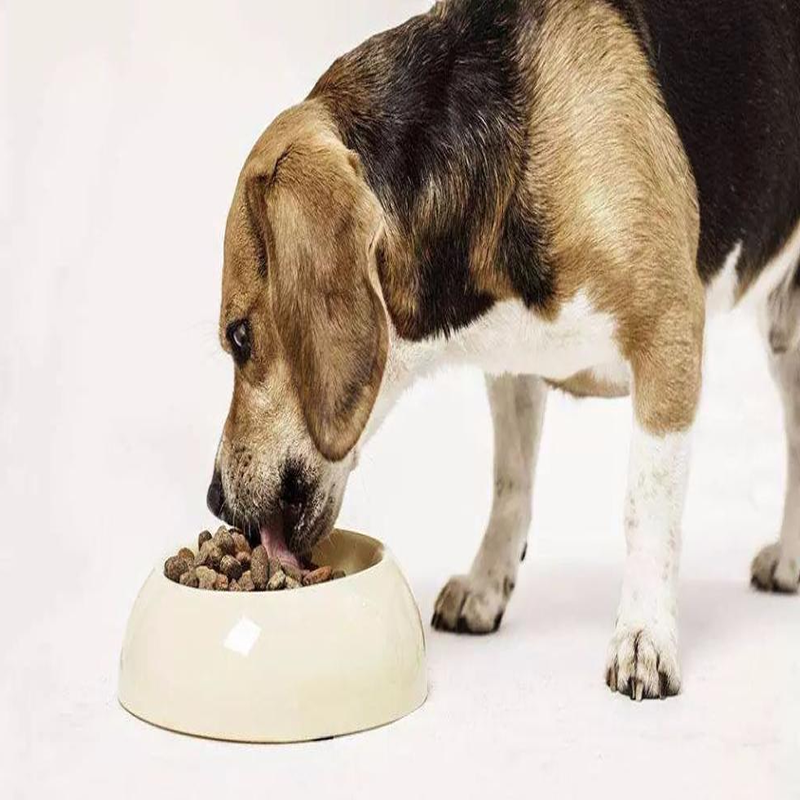 狗粮宠物诱食剂