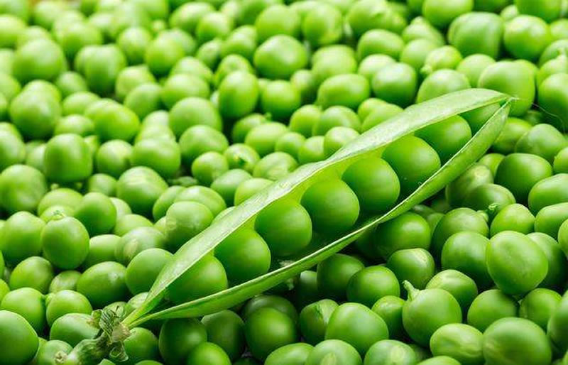 豌豆