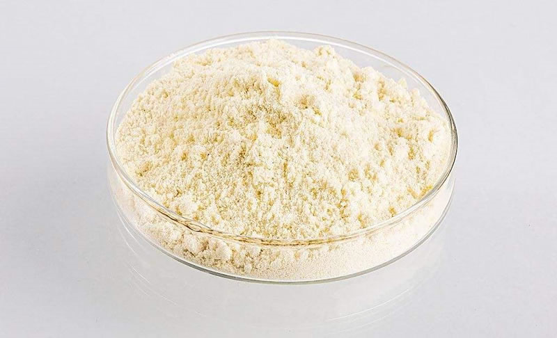 酶制剂---木瓜蛋白酶